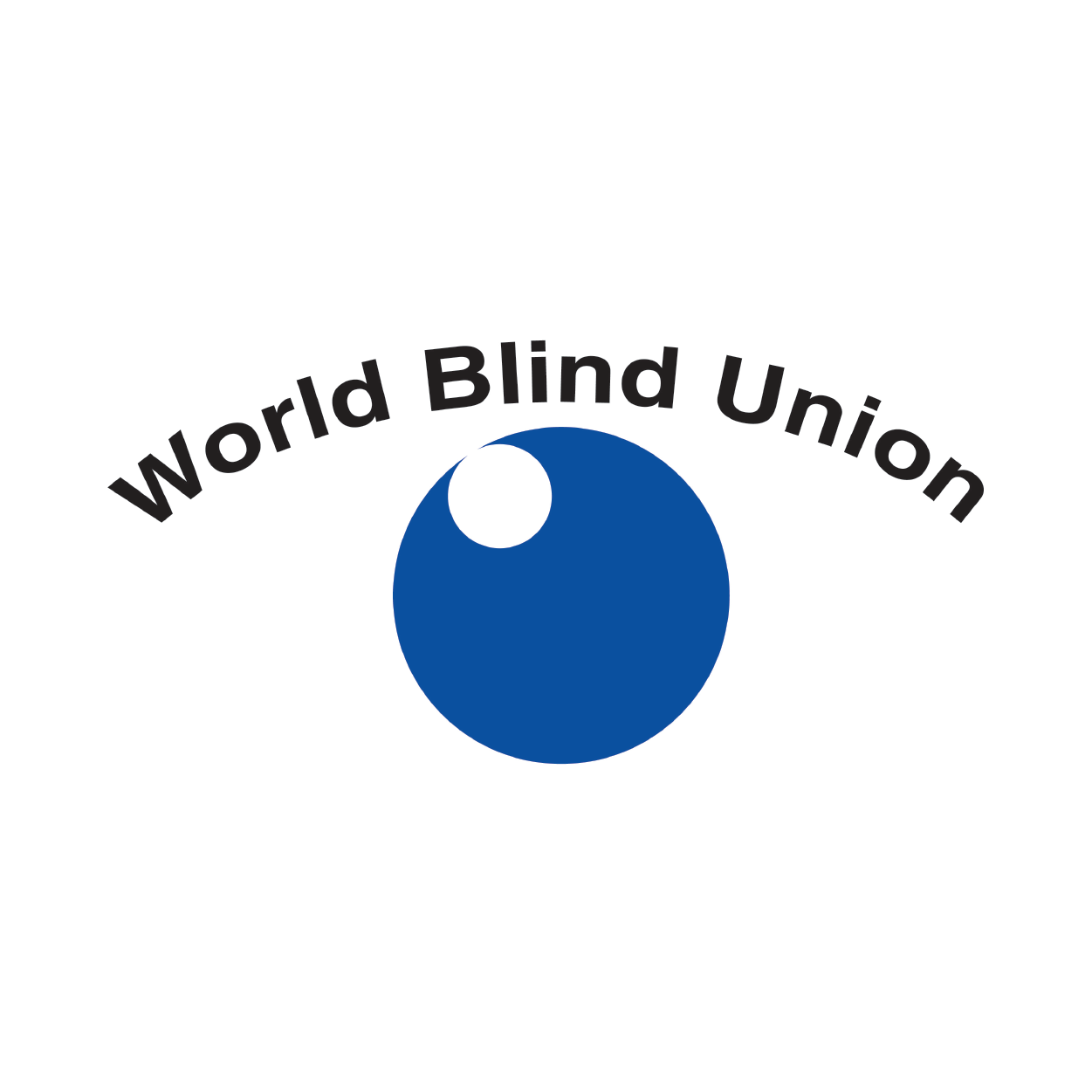 World Blind Union