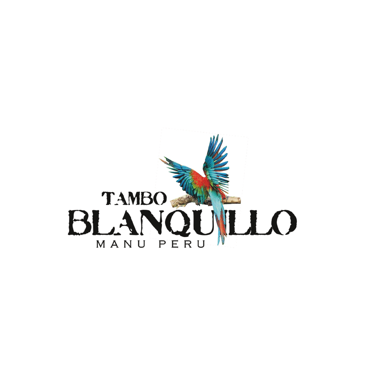 Tambo Blanquillo